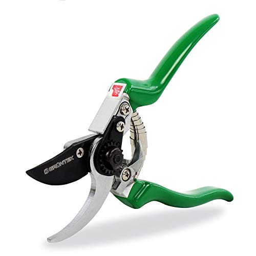 GRÜNTEK Secateurs, Professional Garden Pruning Shears Falke, Bypass, SK5 Blade 48 Mm, Teflon-Coated, Ergonomic Shape, Garden Pruner – Green